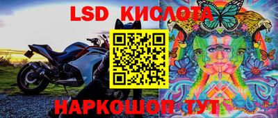 стафф Славгород