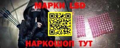 стафф Славгород