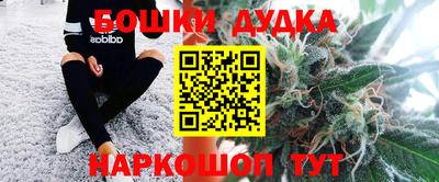 стафф Славгород