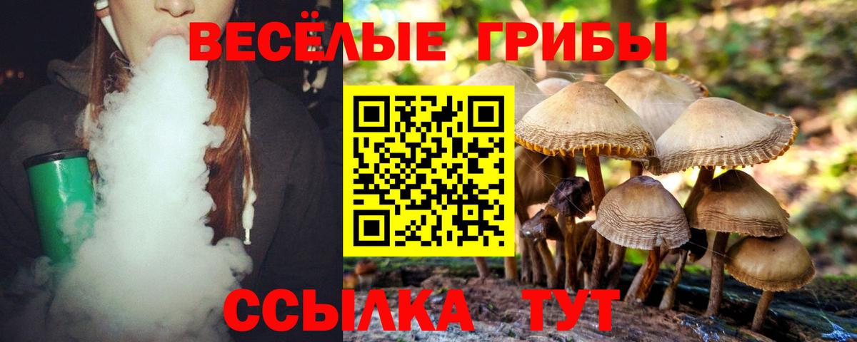 Новый Уренгой  Галлюциногенные грибы Psilocybe  Вход с VPN 